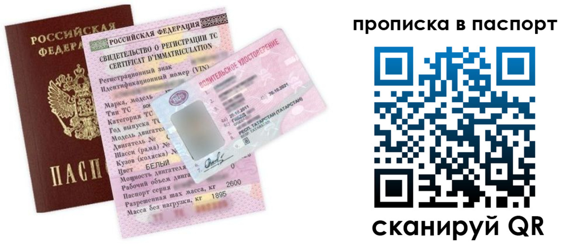 прописка в Курской области
